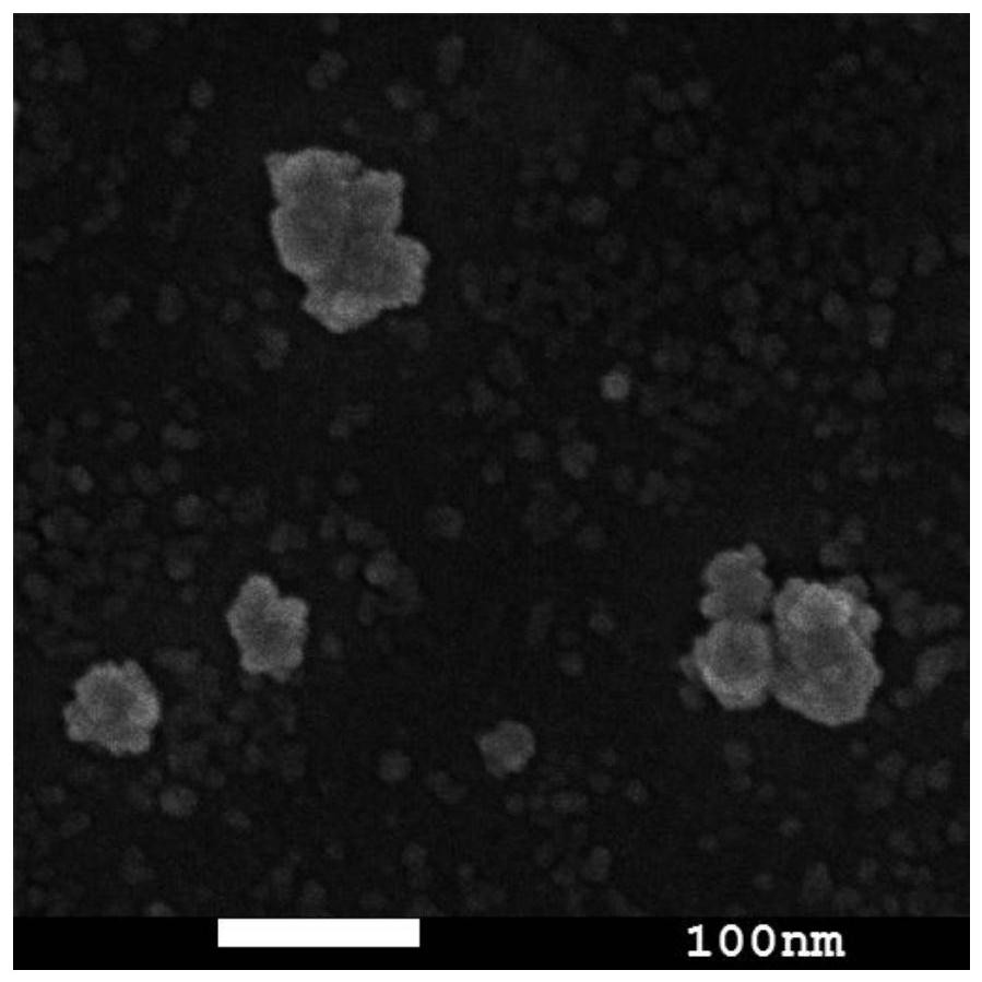 Preparation method of flower-like silicon dioxide abrasive particles