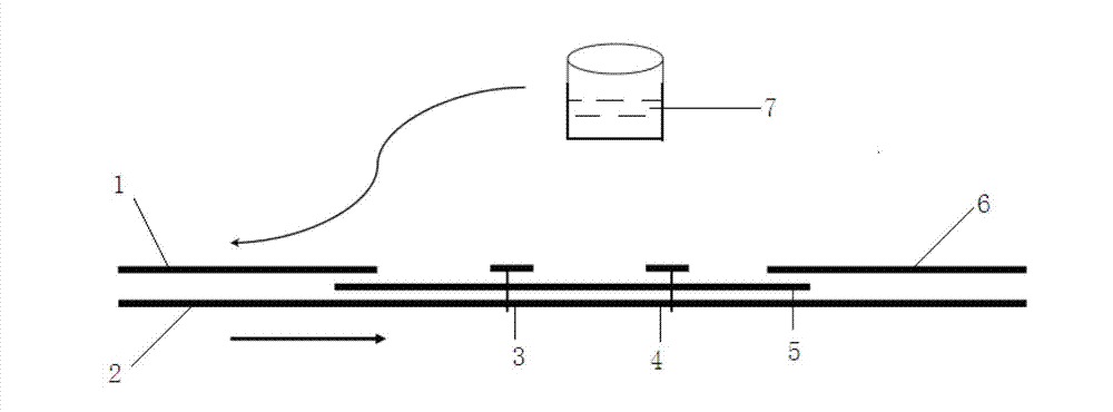 Method for detecting by using quantum dot fluorescence immunochromatographic test strips