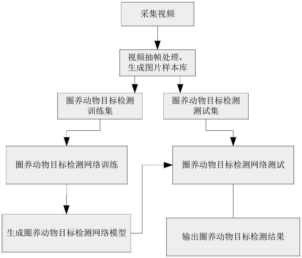 An Animal Individual Recognition System Based on Video Tracking Technology