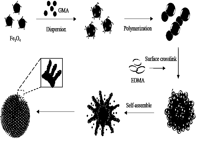 Starlike magnetic response organic adsorption material and preparation method thereof