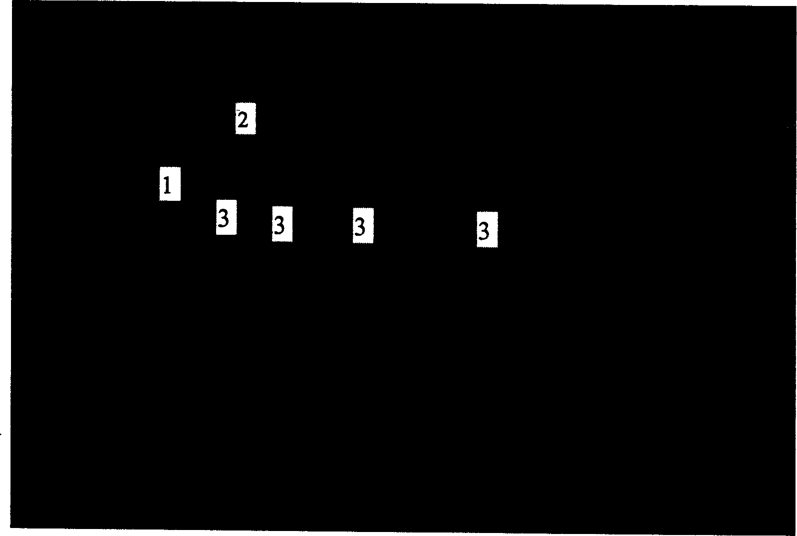 Low temperature nitrobacter agent and use thereof