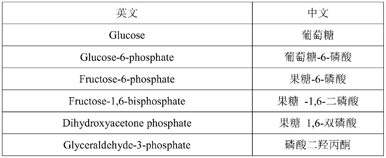 Recombinant yeast, construction method thereof and application thereof for producing tyrosol and derivative