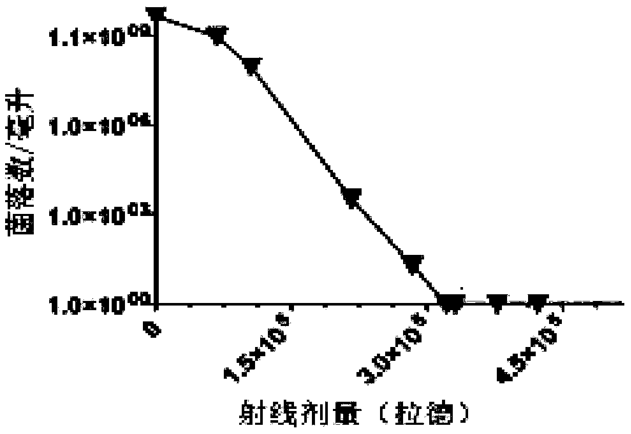 Pseudomonas aeruginosa vaccine and preparation method thereof