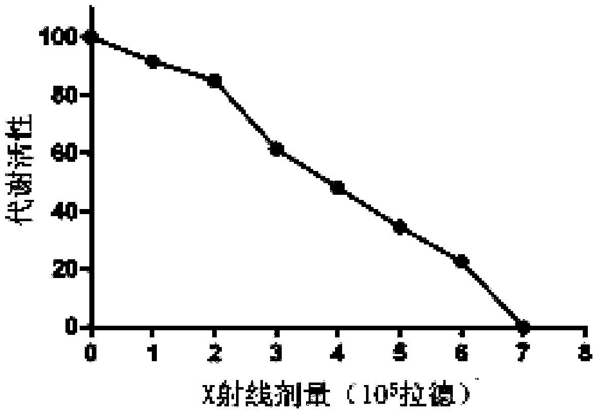 Pseudomonas aeruginosa vaccine and preparation method thereof