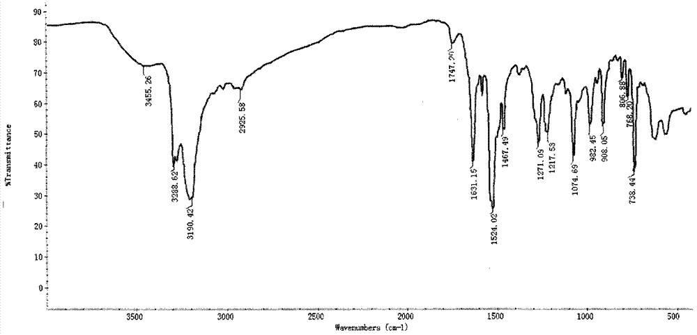 Condensation derivative of chitosan and substituted phenylthiosemicarbazide and preparation method thereof