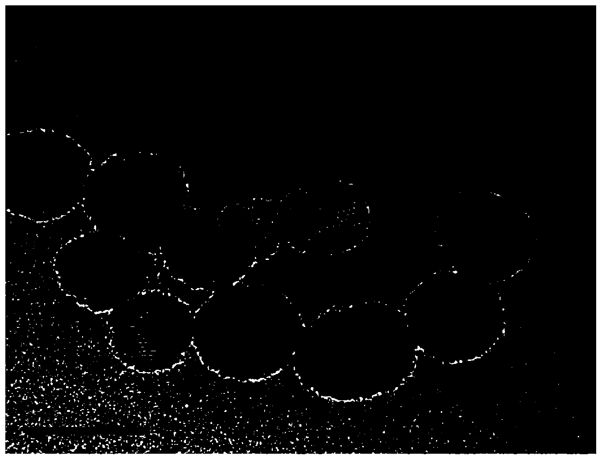 Drug controlled-release mesoporous silicon nanoparticles and preparation method thereof