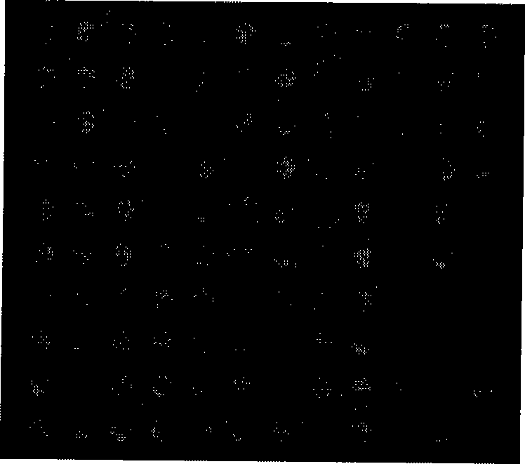 Calibration method for object surface three-dimensional contour structure light measurement system