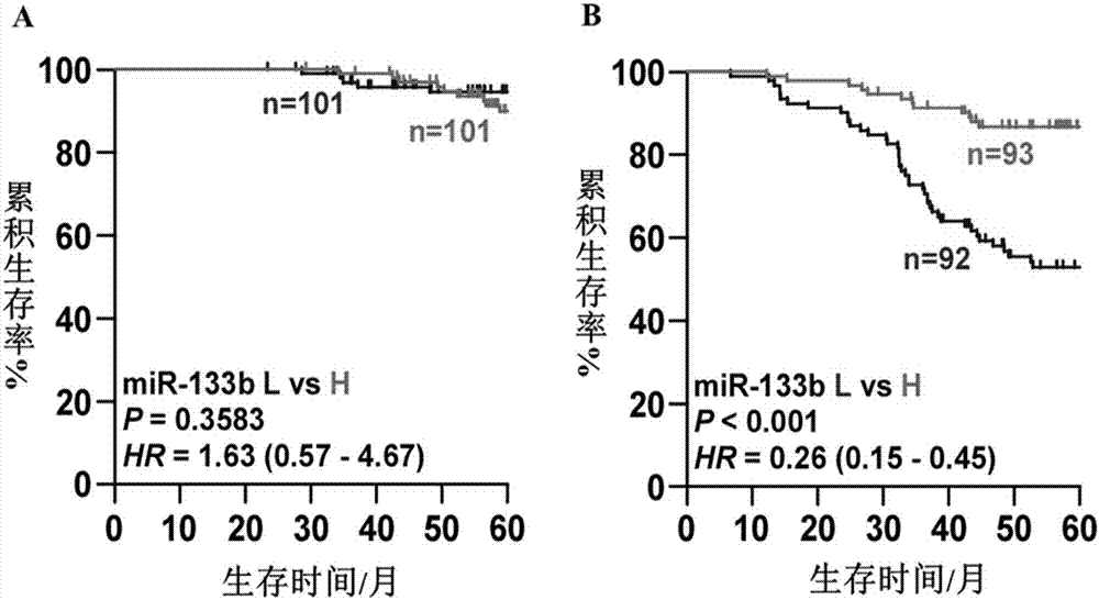 Application of miR-133b in diagnosing, forecasting and treating prostate cancer with osseous metastasis