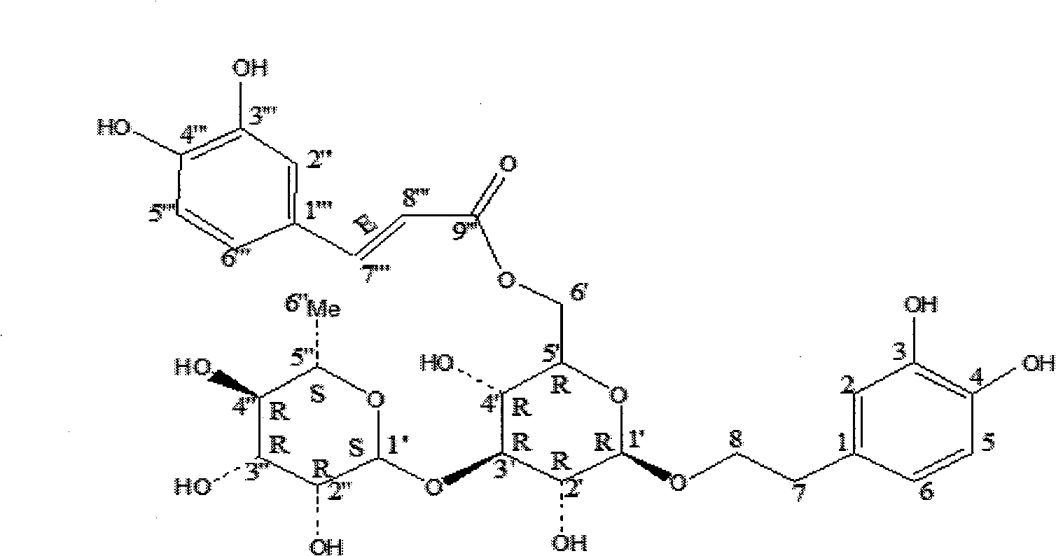 Incarvillea younghusbandii phenylpropanoid glycoside composition and preparation and use thereof