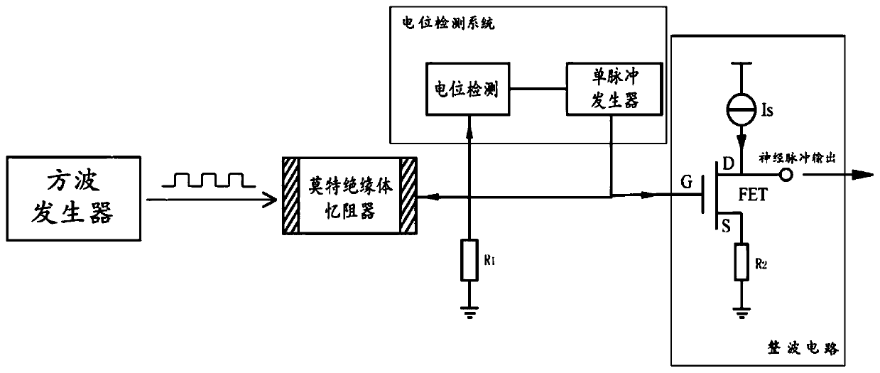 Random neural pulse generator