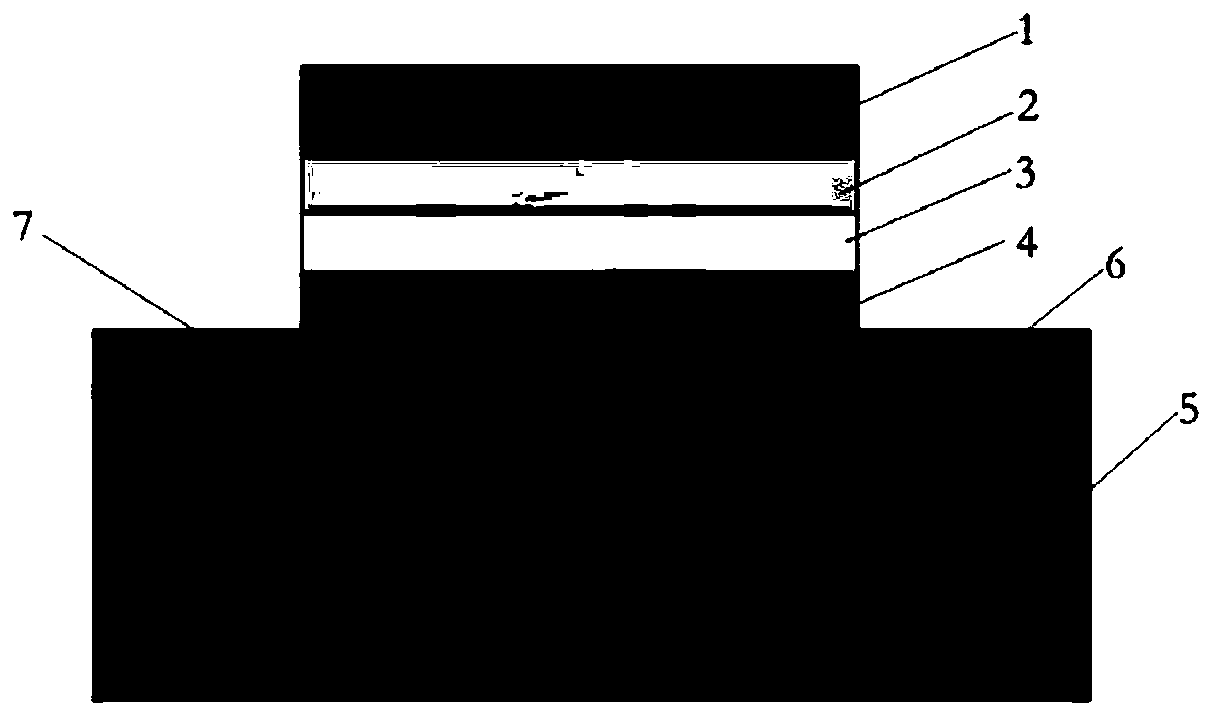 Random neural pulse generator