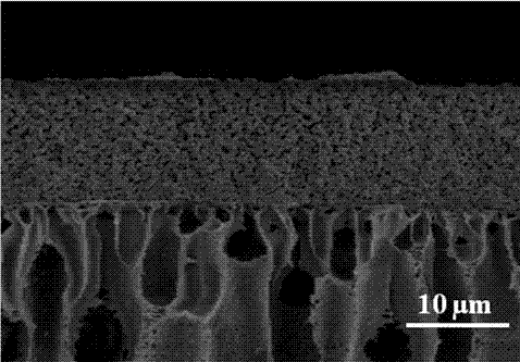 Preparation method and application of metal organic framework thin film on surface of macroporous high polymer hollow fiber pipe