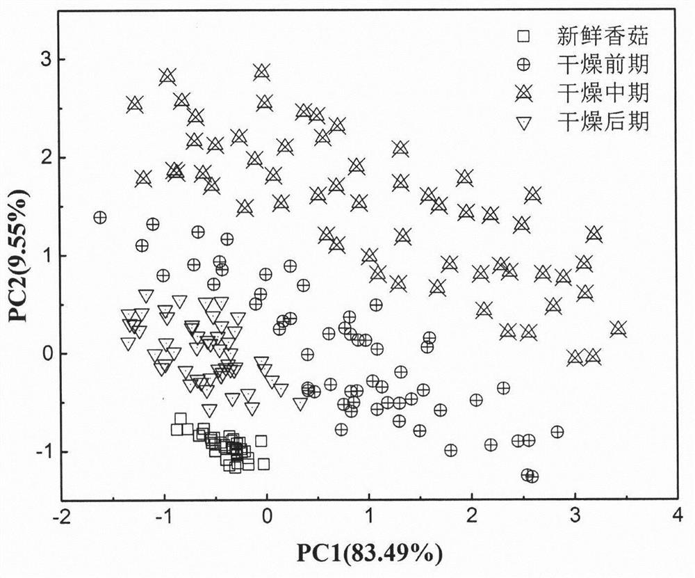 Method for judging shiitake mushroom drying stage based on gas sensor