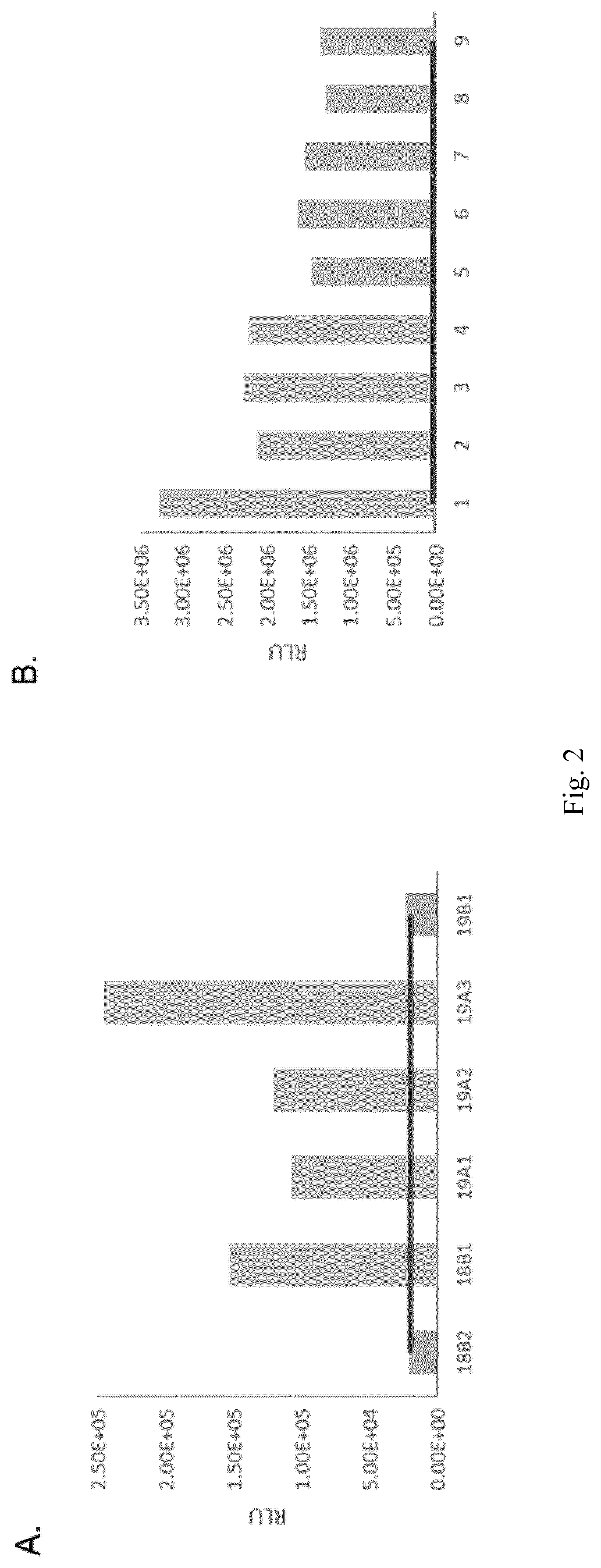 Vector for co-expressing genes of interest