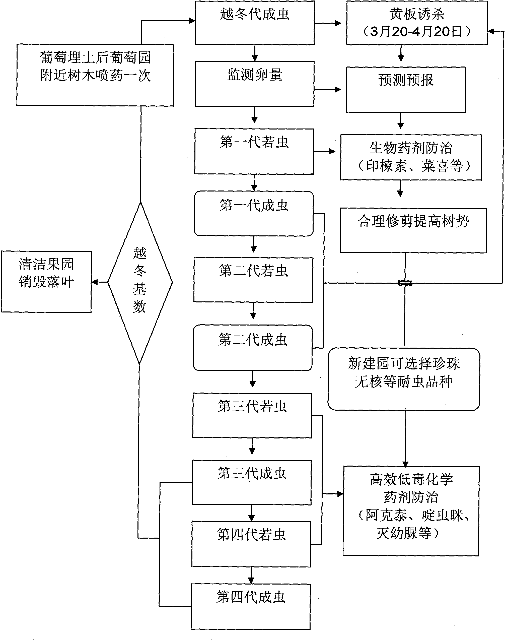 Integrated method for biologically preventing grape leafhoppers