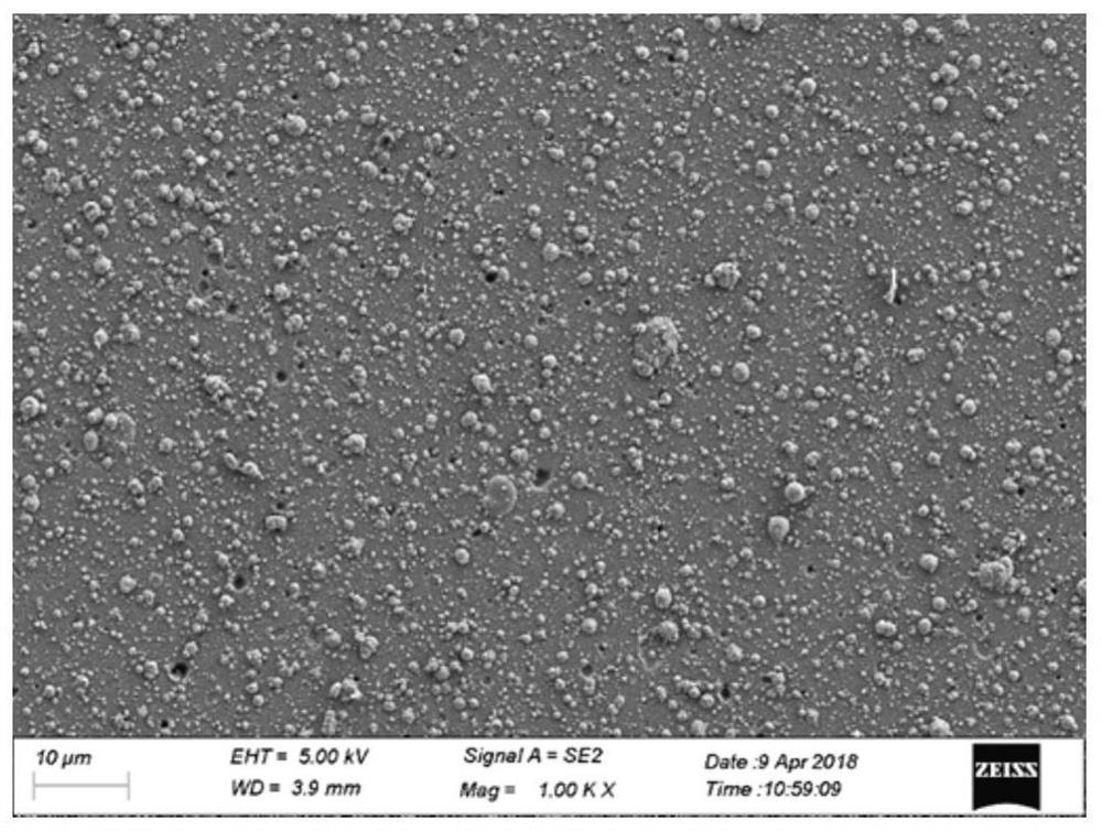 Hard hydrophobic coating with micro-nano structure and preparation method of hard hydrophobic coating