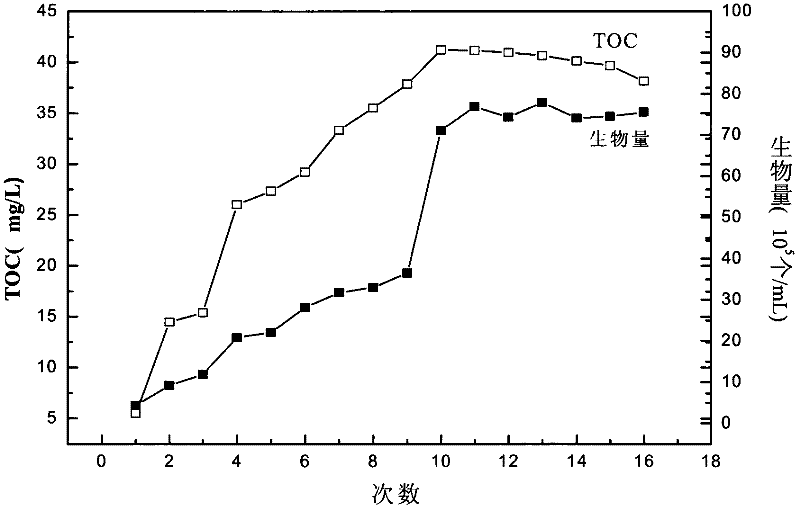 Device and process for monitoring oceanic planktonic microorganism content in real time and early warning red tide