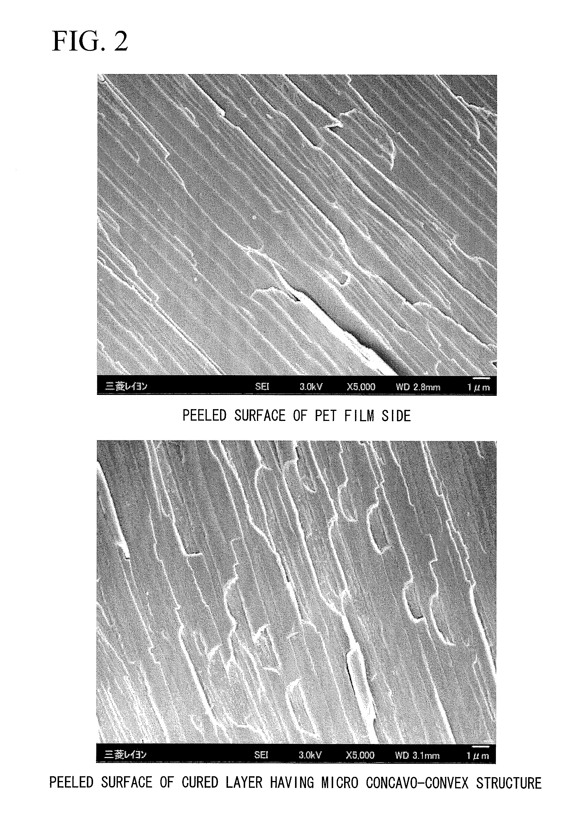 Process for producing film