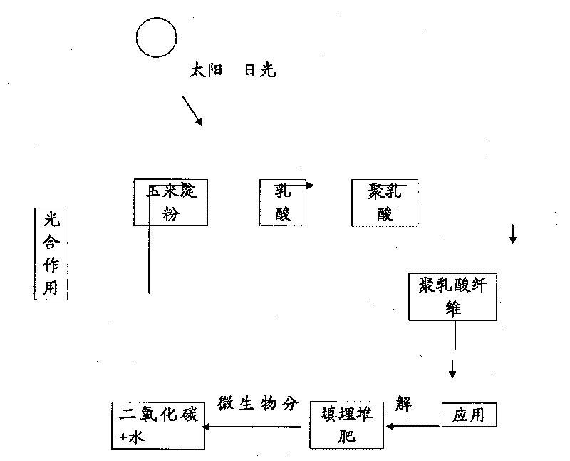 Insulation cotton made of corn fibers and production method thereof