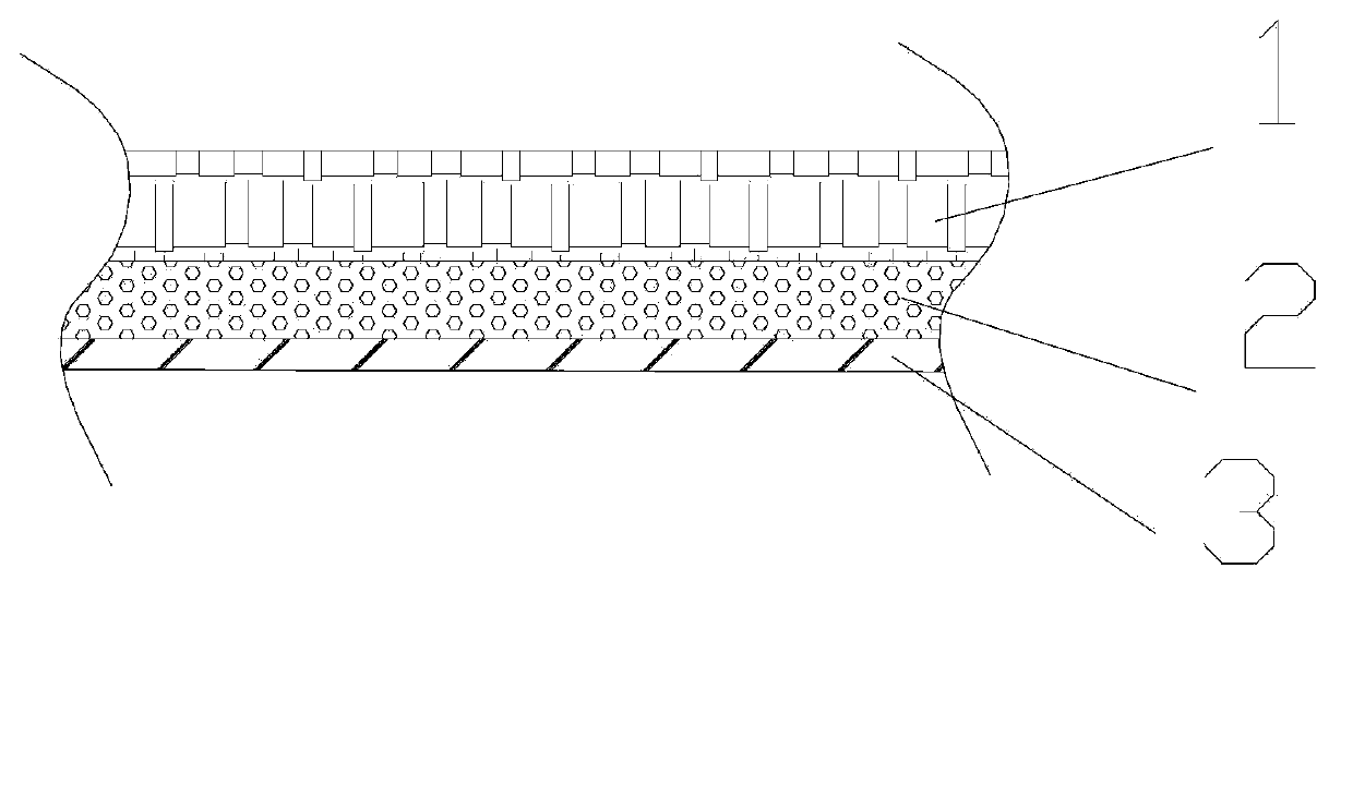 Sisal hemp carpet with anti-mite bacteriostasis function and production method thereof