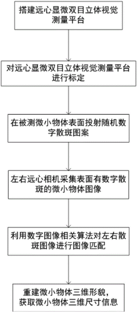 Digital speckle-based telecentric microscopic binocular stereoscopic vision measurement method