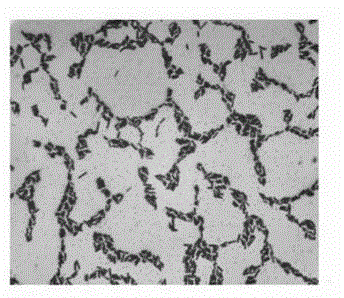 Marine Bacillus amyloliquefaciens and culturing method and application thereof