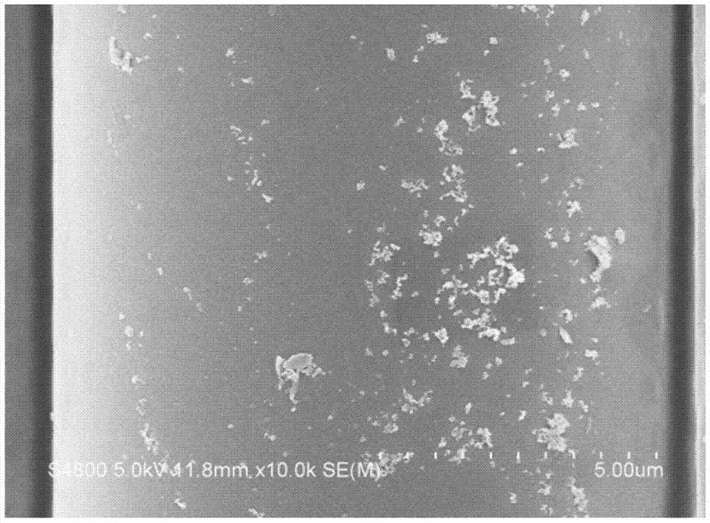 A kind of preparation method of glass fiber reinforced polyamide composite material loaded with nucleating agent