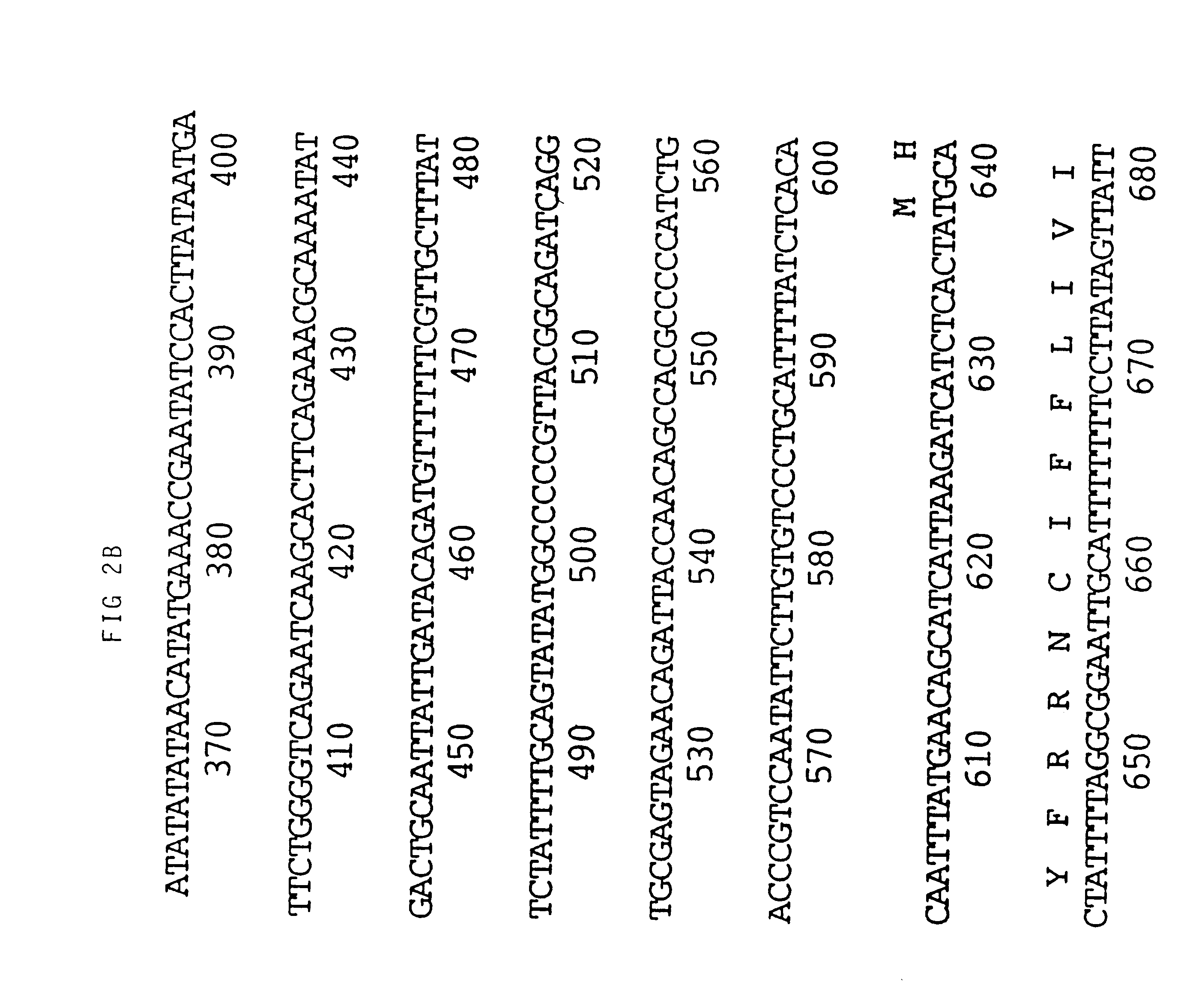 Viral nucleotide sequences