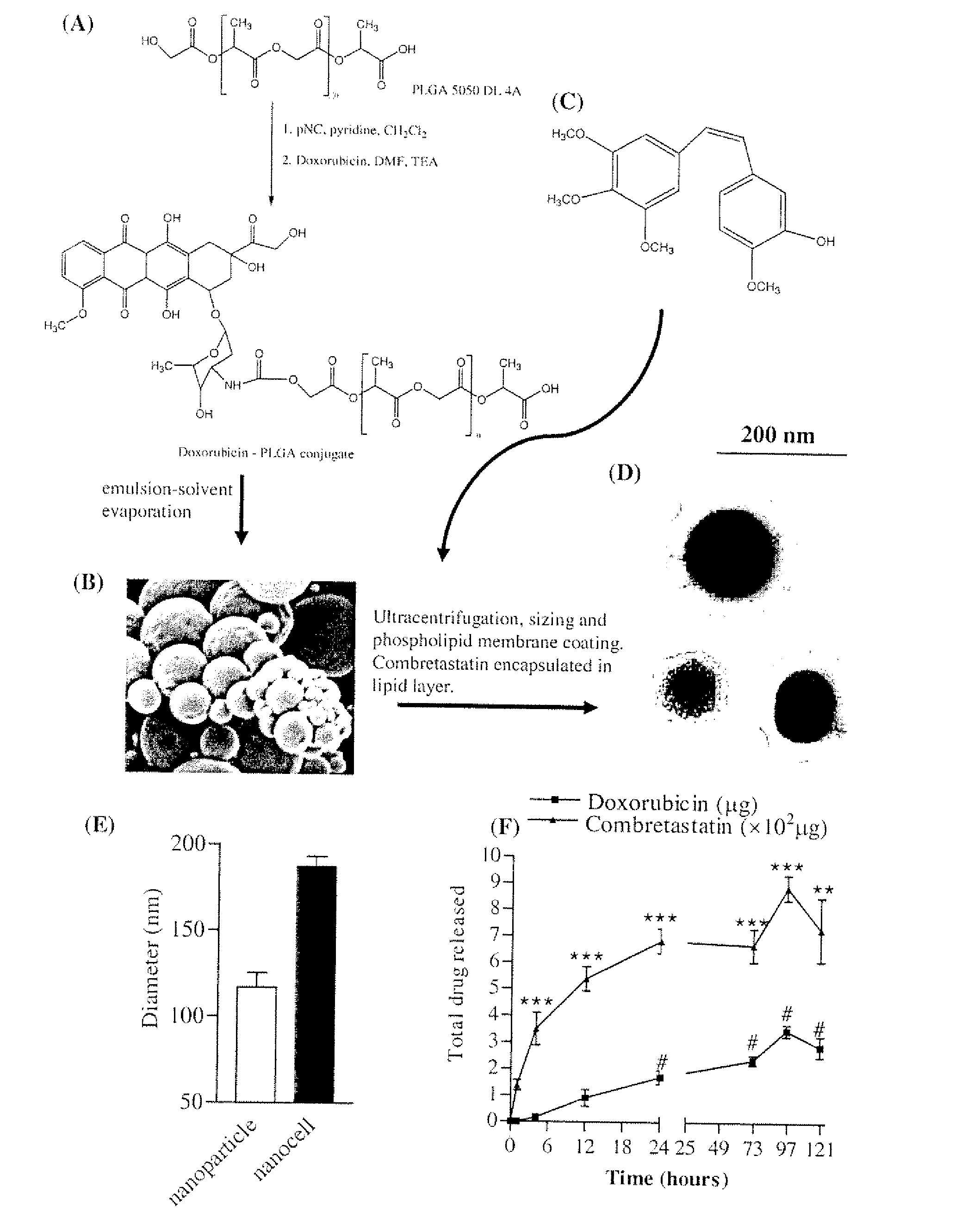 Nanocell Drug Delivery System