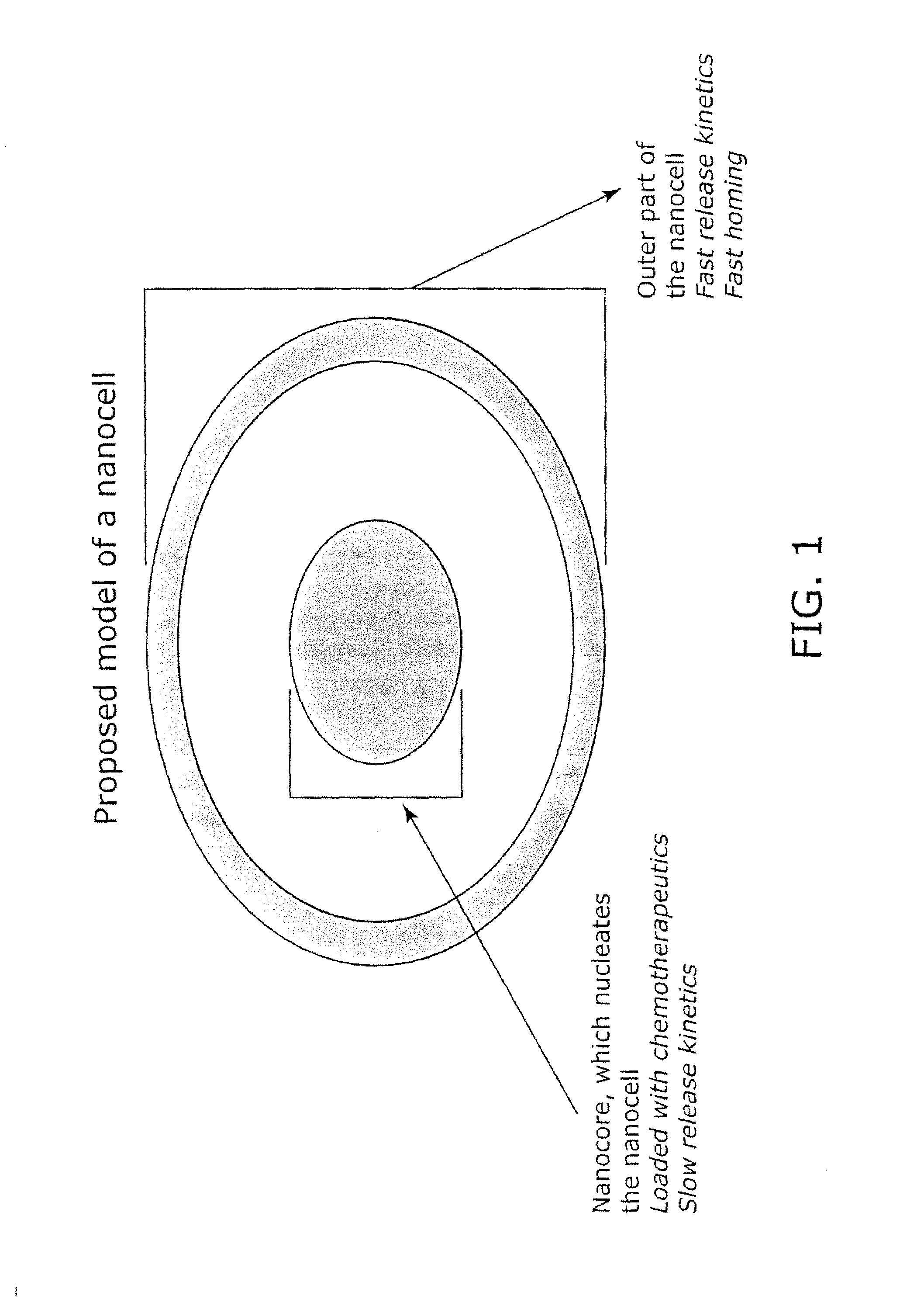 Nanocell Drug Delivery System