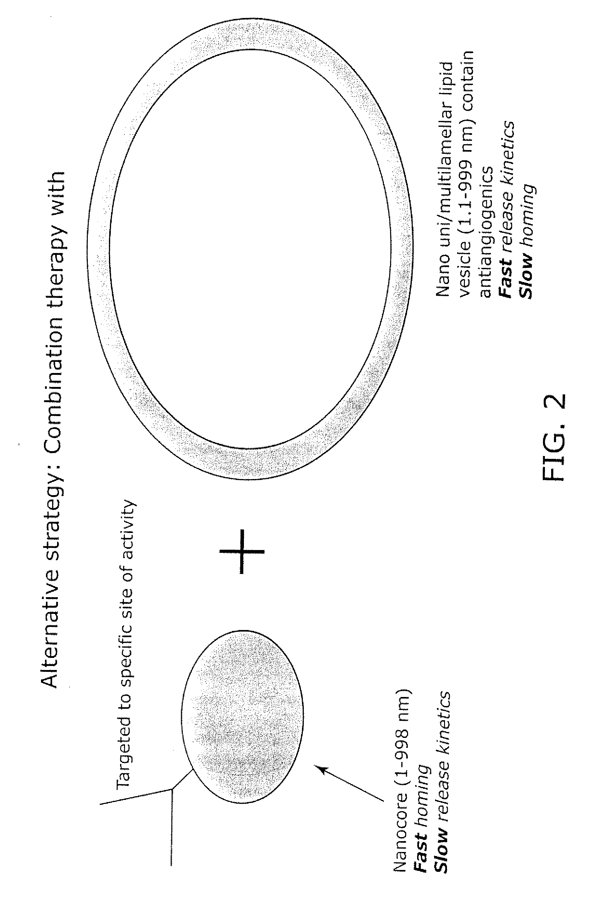 Nanocell Drug Delivery System