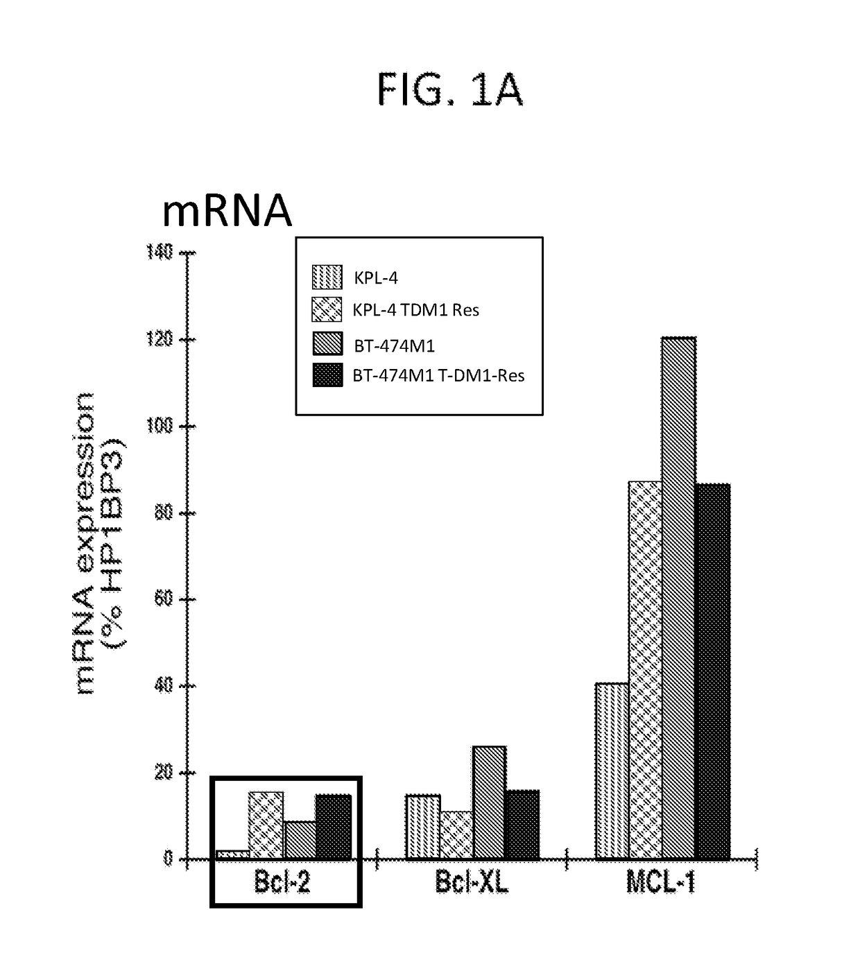 Combination therapy with an Anti-her2 antibody-drug conjugate and a bcl-2 inhibitor