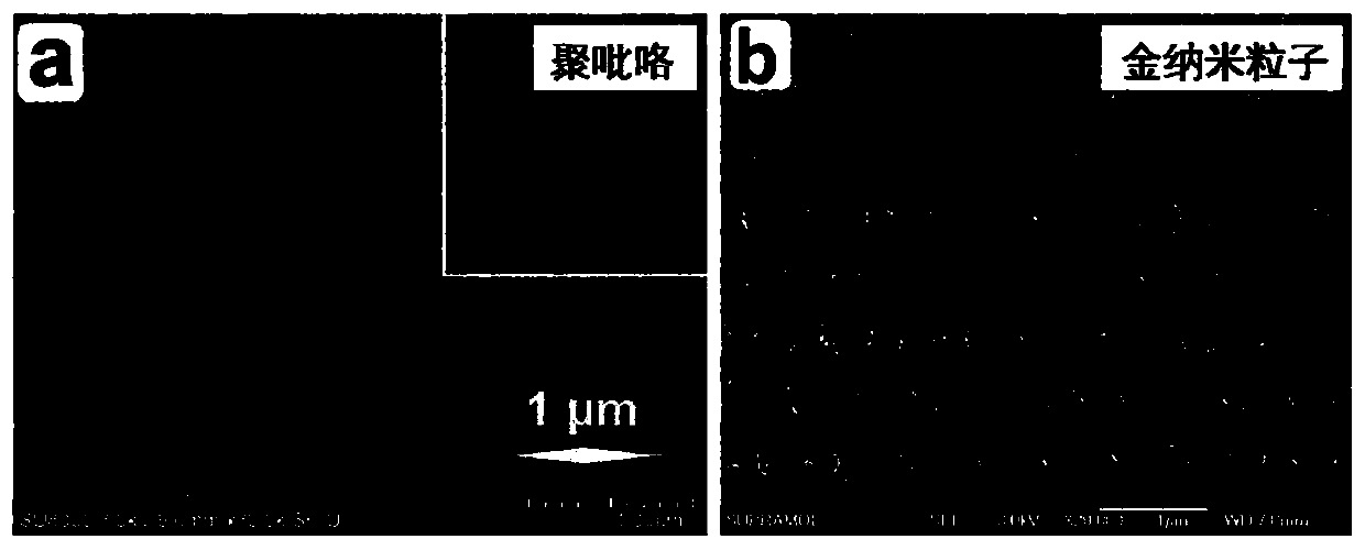 Surface plasma resonance induced multilevel structure and modification method thereof