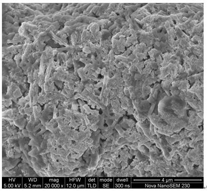 Crystalline Li3OCl inorganic lithium ion conductor as well as preparation method and application thereof