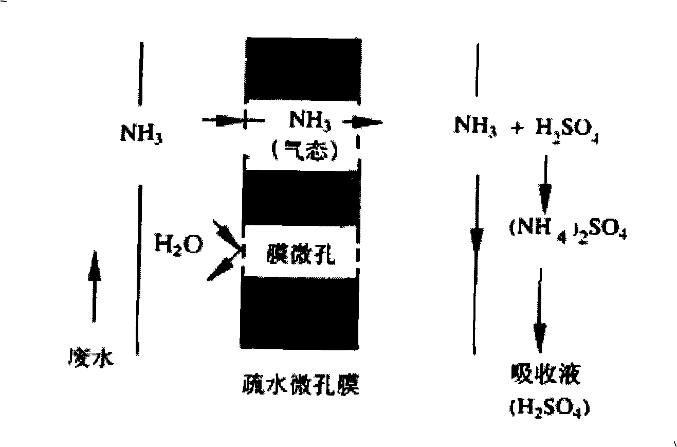 Equipment and method for processing gas absorbed by film