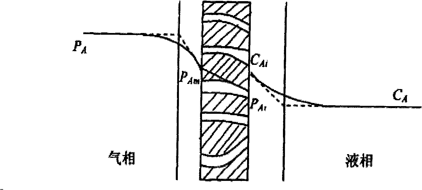 Equipment and method for processing gas absorbed by film