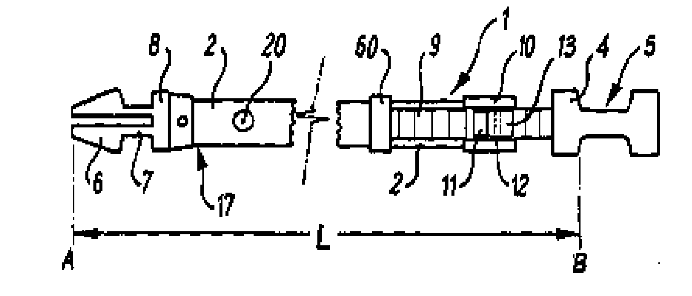 Adjustable buckle and collar