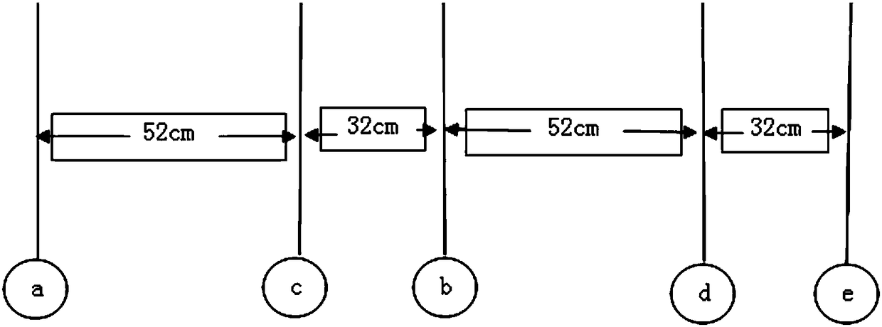 The method of using the golden ratio to plant corn