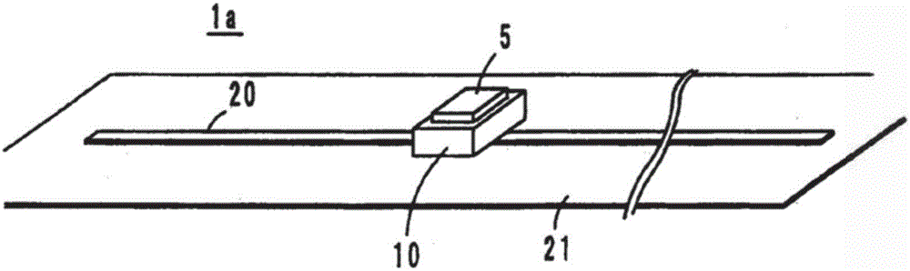 Radio IC device