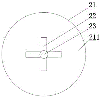 Blue light beauty instrument and application method thereof