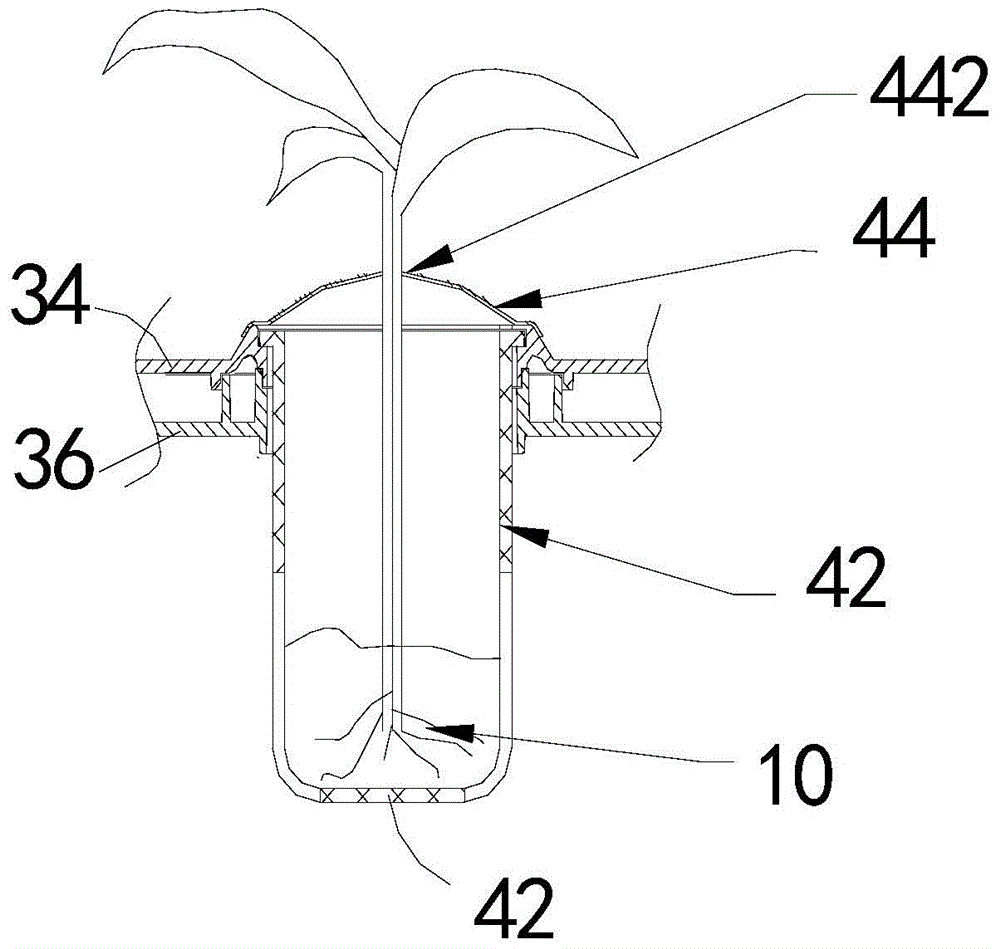 Intelligent indoor plant cultivating device based on internet of things and cultivating method