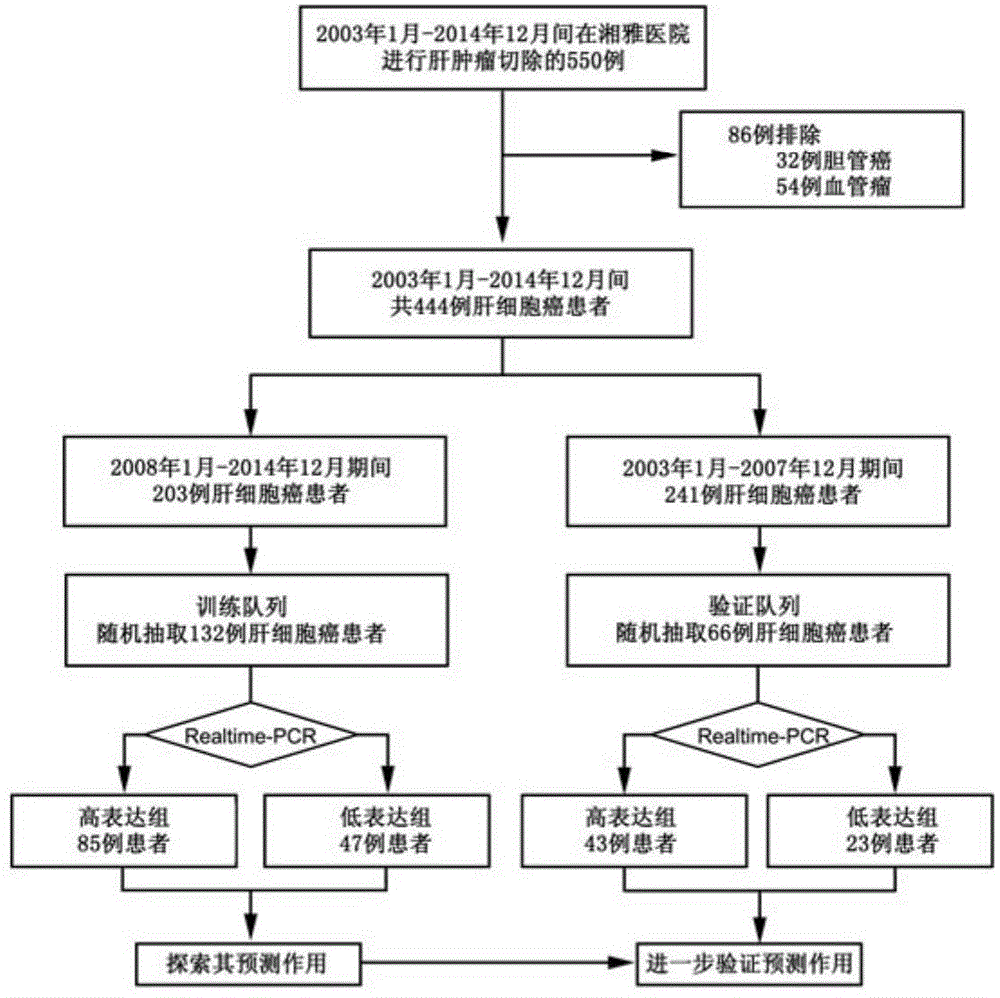 Application of hsa-miR-487a in preparing medicine for treating hepatocellular carcinoma or for postoperative prevention of hepatocellular carcinoma