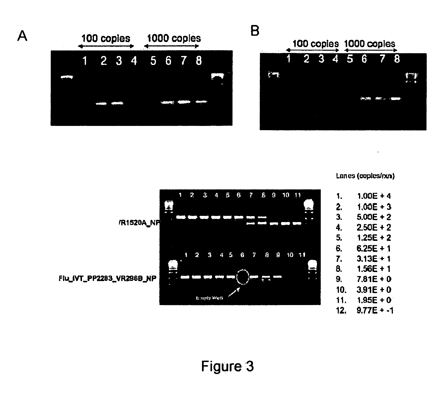 Compositions for use in identification of influenza viruses