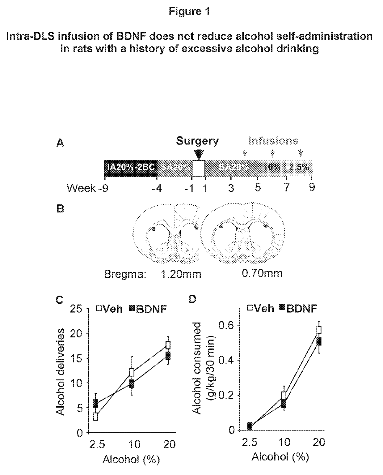 Methods and compounds for treating alcohol use disorders and associated diseases