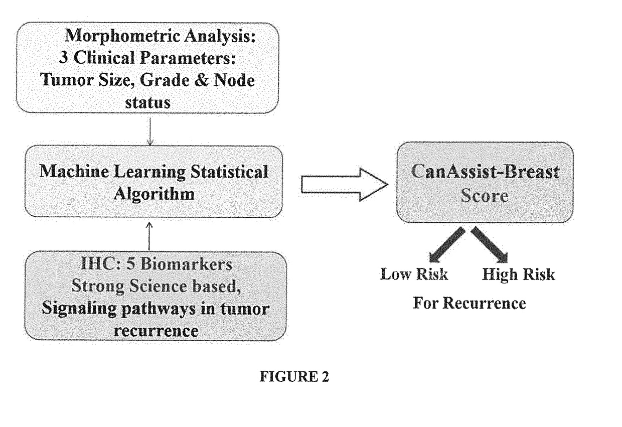 Method of prognosing and predicting breast cancer recurrence, markers employed therein and kit thereof