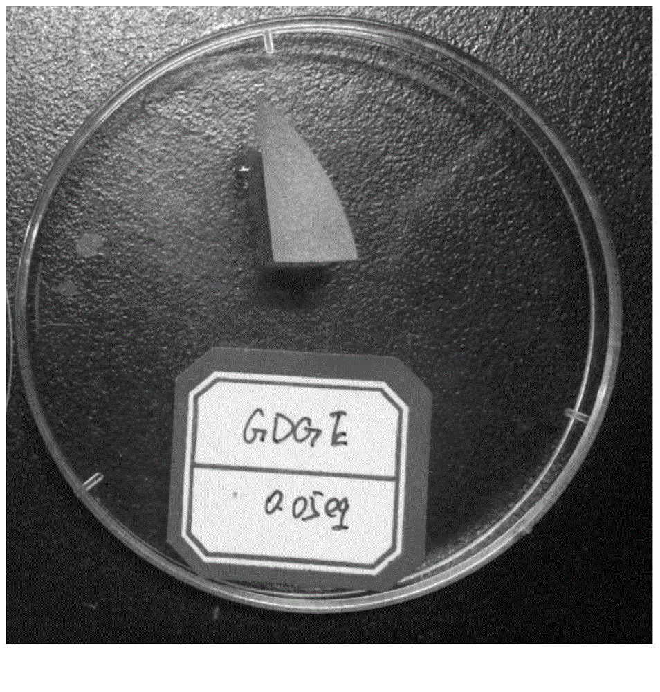 Chitosan hemostatic material formed through covalent crosslinking and preparation method thereof