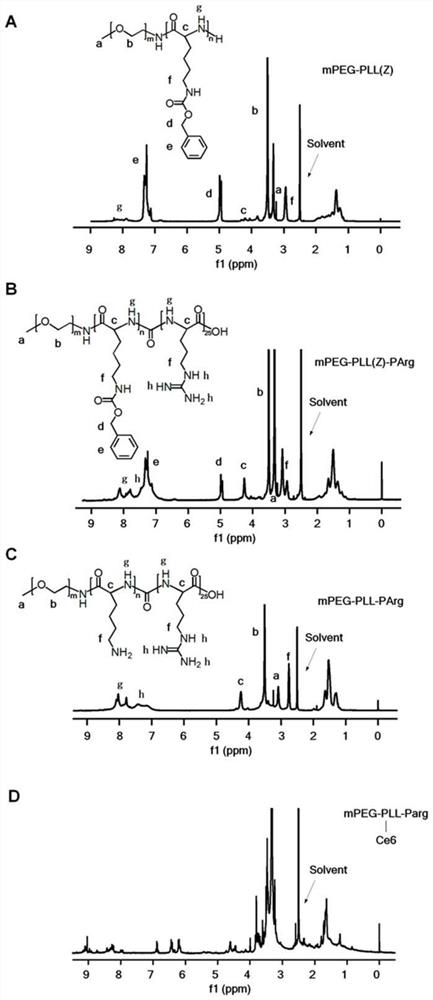 Construction of photosensitive nano-micelle capable of inducing M1 type polarization of tumor-associated macrophages and anti-tumor application of photosensitive nano-micelle