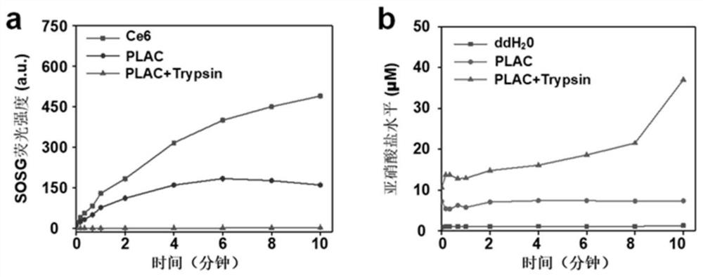 Construction of photosensitive nano-micelle capable of inducing M1 type polarization of tumor-associated macrophages and anti-tumor application of photosensitive nano-micelle