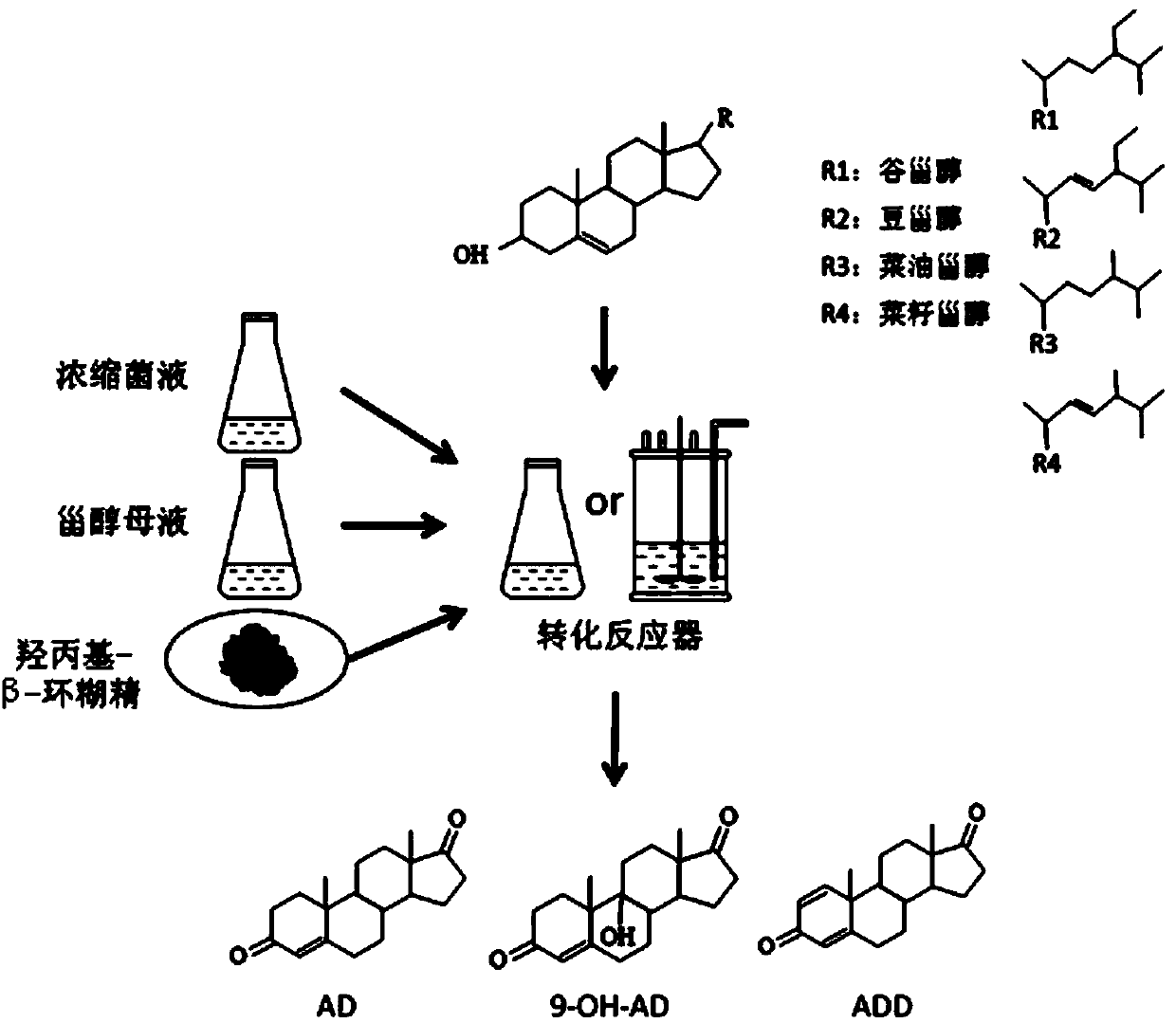 Method for preparing steroid drug intermediate employing bioconversion phytosterol