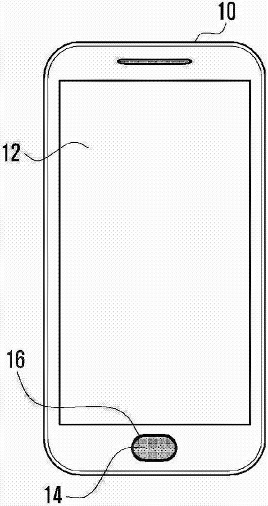 Protective device for mobile terminal